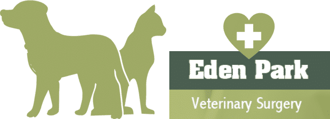 Veterinary Surgery in Eden Park | Kent | Eden Park Veterinary Surgery